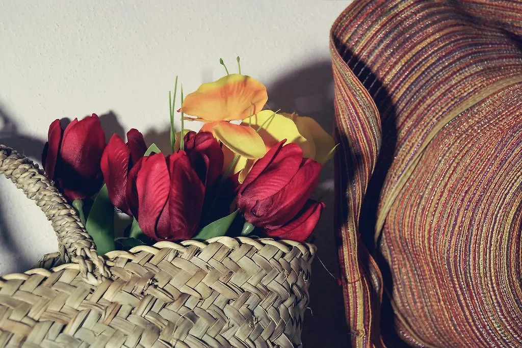 La Terrazza Sul Centro Bed & Breakfast Palermo